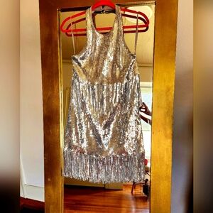 Glamorous Silver Sequin Dress